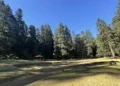 Expropia CSP 30 hectáreas de suelo ejidal en Tlalpan