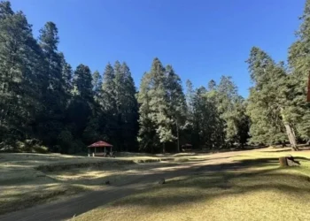 Expropia CSP 30 hectáreas de suelo ejidal en Tlalpan