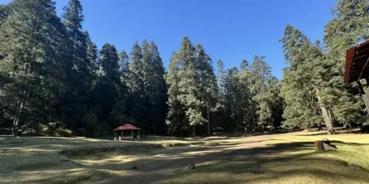 Expropia CSP 30 hectáreas de suelo ejidal en Tlalpan