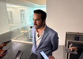 60 por ciento de apagones son causados por caídas de ramas, señala CFE a diputado