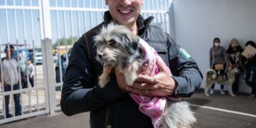 El Marqués se consolida como referente estatal en servicios veterinarios