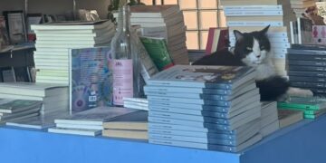 Regresa Feria del Libro de Querétaro; reunirá a 30 expositores en Plaza Constitución