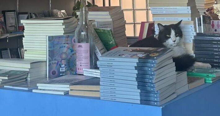 Regresa Feria del Libro de Querétaro; reunirá a 30 expositores en Plaza Constitución