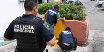 Más de 200 personas infractoras realizan trabajo comunitario en Querétaro durante 2026