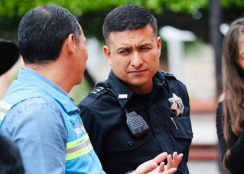 Recuperan 388 vehículos con reporte de robo durante el primer semestre del año