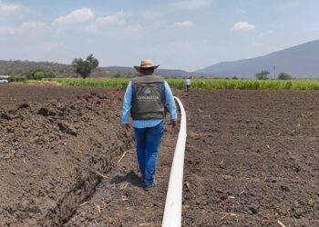 Disminuyen lluvias en diversas regiones del país por inicio de la canícula: CONAGUA