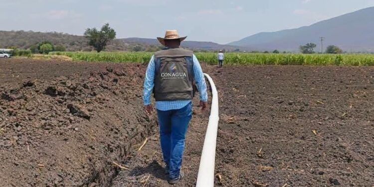 Disminuyen lluvias en diversas regiones del país por inicio de la canícula: CONAGUA
