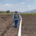 Disminuyen lluvias en diversas regiones del país por inicio de la canícula: CONAGUA