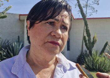 Querétaro reporta cuatro casos de gusano barrenador en humanos