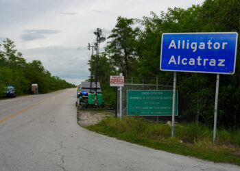 EE.UU. rechaza cartas de México sobre trato a migrantes en operativos del ICE