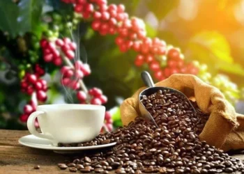 Atiende Sader plaga de roya en café en Veracruz