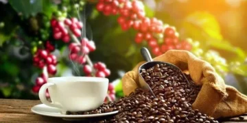 Atiende Sader plaga de roya en café en Veracruz