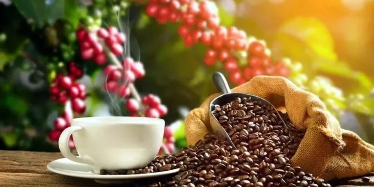 Atiende Sader plaga de roya en café en Veracruz