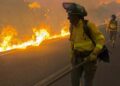 Incendio al sureste de España deja 12 muertos y 23 desaparecidos