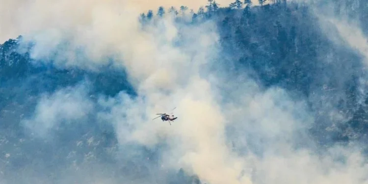 Evacuan miles de personas en Colorado por incendio forestal