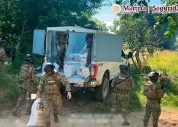 Asegura Marina 834 kilos de cocaína en Chiapas