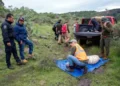 Defiende Profepa operativo que derivó en muerte del tigre
