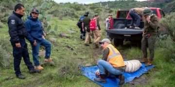 Defiende Profepa operativo que derivó en muerte del tigre