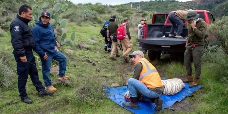 Defiende Profepa operativo que derivó en muerte del tigre