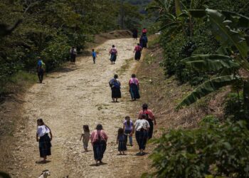 Pueblos indígenas de Chiapas denuncian persecución por defender sus territorios