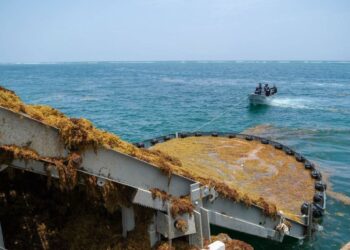 Reto para Quintana Roo es recolectar el sargazo en el mar: Mara Lezama
