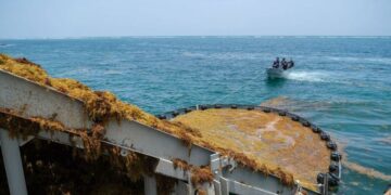 Reto para Quintana Roo es recolectar el sargazo en el mar: Mara Lezama