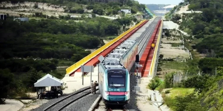 Piden aclarar cómo garantizarán sostenibilidad de Tren Maya