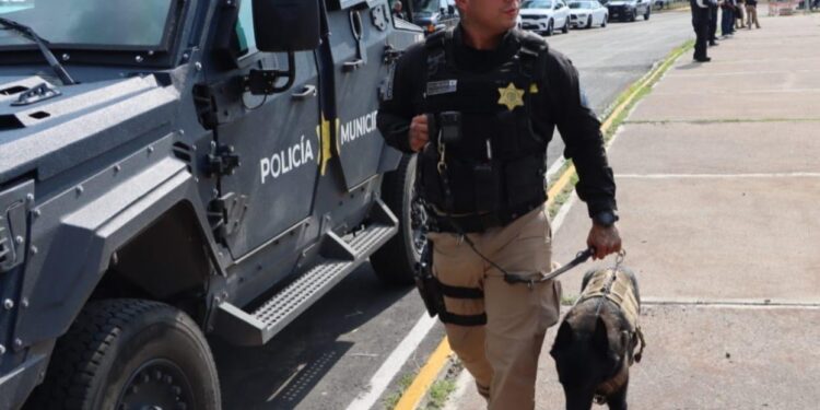 Más de mil 900 personas detenidas por la SSPMQ en julio
