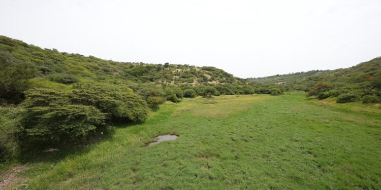 Macías Olvera precisó que la Cañada Bolaños, conocida como El Tlacuache, es un espacio que forma parte de las áreas naturales protegidas del Municipio de Querétaro.