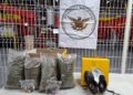 Asegura Guardia Nacional drogas en el AIQ