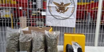 Asegura Guardia Nacional drogas en el AIQ