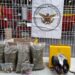Asegura Guardia Nacional drogas en el AIQ