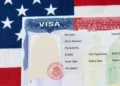 EU ha revocado 175 mil visas a extranjeros