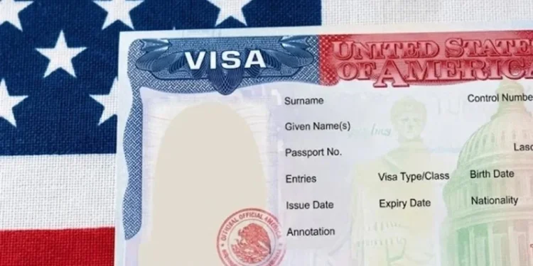 EU ha revocado 175 mil visas a extranjeros