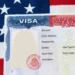 EU ha revocado 175 mil visas a extranjeros
