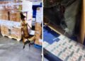 Aseguran 2.2 millones de cigarros apócrifos en el AICM