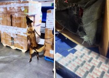Aseguran 2.2 millones de cigarros apócrifos en el AICM