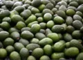Lanzan en EU nuevo llamado para topar aguacate mexicano