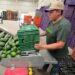 Libera EU 9 mil tons. de aguacate mexicano tras acuerdo