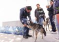 Aprueban en comisión declarar el 21 de julio como Día del Bienestar del Perro