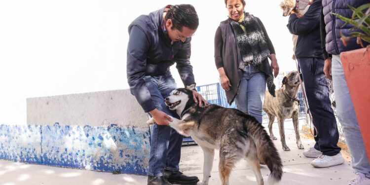 Aprueban en comisión declarar el 21 de julio como Día del Bienestar del Perro