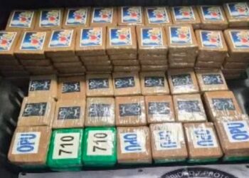 Detienen en Tlalpan a hombre con 217 kg de cocaína