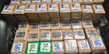 Detienen en Tlalpan a hombre con 217 kg de cocaína