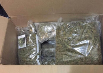 Detienen a joven estadounidense por intentar vender droga en el Centro Histórico de CDMX