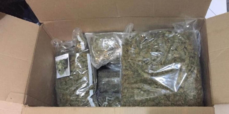 Detienen a joven estadounidense por intentar vender droga en el Centro Histórico de CDMX