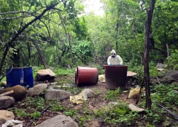 Inhabilita Marina tres narcolaboratorios en Sinaloa