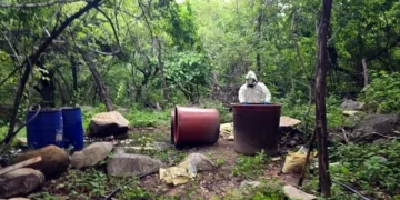 Inhabilita Marina tres narcolaboratorios en Sinaloa