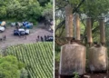 Aseguran narcolaboratorio en Acámbaro, Guanajuato