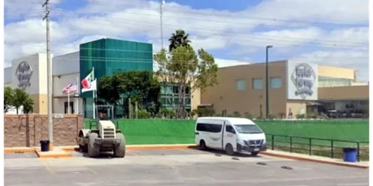 Indaga FDA en Guanajuato agua usada para lechugas