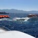 Al menos 8 muertos al naufragar ferry